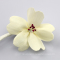 Decorative Handmade White Fragrance Diffuser Sola Wood Flower Reed Flower Diffuser